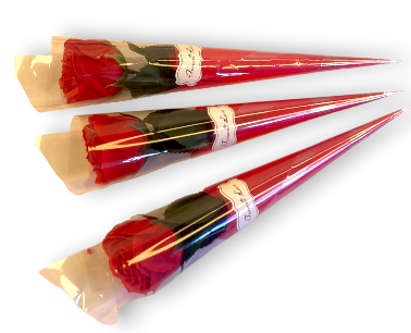 Bootstrap Image Preview