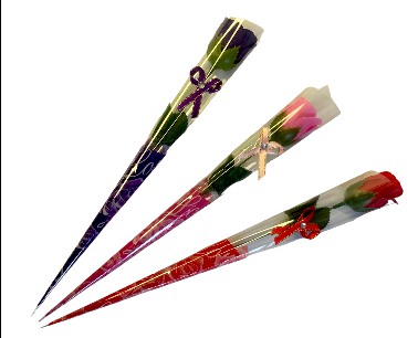 Bootstrap Image Preview